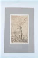 Lot 57 - Van der Elst, pair of drawings