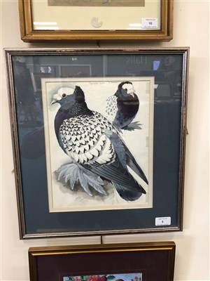 Lot 5 - Charles Frederick Tunnicliffe (1901 - 1979), Spangled Priest