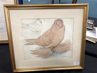 Lot 11 - Charles Frederick Tunnicliffe (1901 - 1979), Yellow Trumpeter