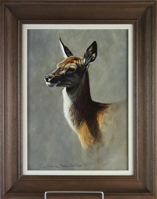 Lot 115 - Tony Pridham (b.1964) Young Red Deer