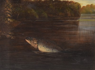 Lot 122 - Arthur Roland Knight (act. 1810-1840) A Brown Trout Rising to a Well Presented Wetfly