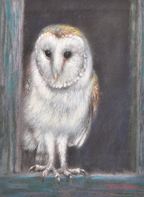 Lot 109 - Joel Kirk (b.1948) Barn Owl