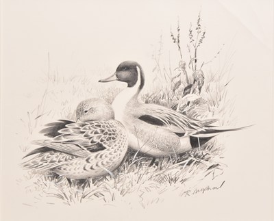 Lot 2 - Rodger McPhail (British, b.1953) Pintails over the East Light, on the Wash, a Couple in the Grasses