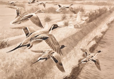 Lot 3 - Rodger McPhail (British, b.1953) Pintails in flight over a Lighthouse and Swell