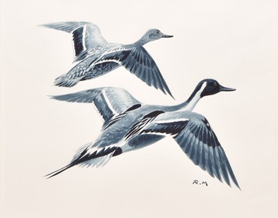 Lot 5 - Rodger McPhail (British, b.1953) Pintails in Flight