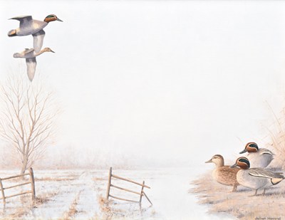 Lot 7 - Julian Novorol (b. 1949) Ouse Washes - Winter Floods, Small Scenes of European Green Winged Teal