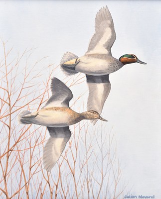 Lot 8 - Julian Novorol (b. 1949) Ouse Washes - Winter Floods, a Couple of European Green-Winged Teal in Flight