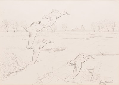 Lot 10 - Julian Novorol (b. 1949) Ouse Washes - Winter Floods, a Sketch of European Green Winged Teal