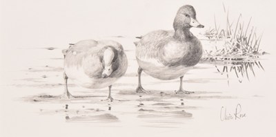 Lot 12 - Chris Rose (British, b.1959) Wigeon at Dawn - Lindisfarne, a Couple Waddling in the Sand