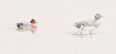 Lot 14 - Chris Rose (British, b.1959) Wigeon at Dawn - Lindisfarne, Remarques