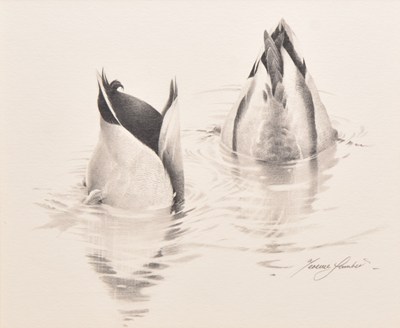 Lot 16 - Terence Lambert (British, b.1951) Mallard - Afon Dyfi, a Couple Dabbling