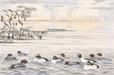 Lot 21 - Michael Warren (b. 1938) Golden-Eye - Strangford Lough, Two Works (2)