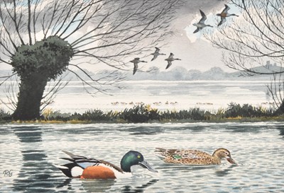 Lot 24 - Robert Gillmor (British, 1936-2022) Shoveler - Somerset Levels, a Couple Paddling in the Water