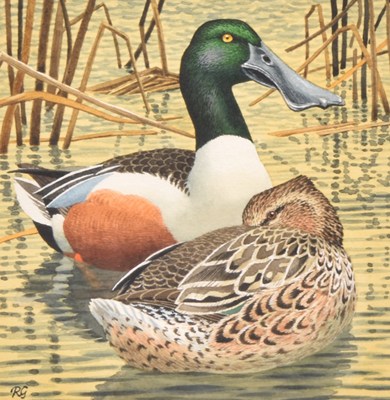 Lot 25 - Robert Gillmor (British, 1936-2022) Shoveler - Somerset Levels, a Couple on Sunny Waters