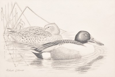 Lot 26 - Robert Gillmor (British, 1936-2022) Shoveler - Somerset Levels, A Couple on the Water