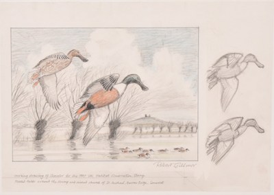 Lot 28 - Robert Gillmor (British, 1936-2022) Shoveler - Somerset Levels, a Couple in Flight, Concept Work (4)