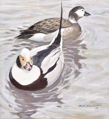 Lot 30 - Keith Shackleton (1923-2015) Long-Tail Duck, Blackwater Estuary, a Couple on the Water