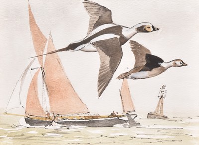 Lot 31 - Keith Shackleton (1923-2015) Long-Tail Duck, Blackwater Estuary, Three Concept Works