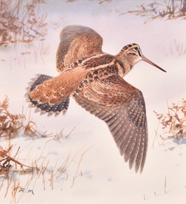 Lot 32 - Rodger McPhail (British, b.1953) Woodcock, Flying over Snowy Ground and another work (2)
