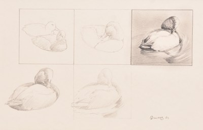 Lot 38 - Owen Williams (British, b. 1956) Pochard - Severn Estuary, Three Concept Works (3)