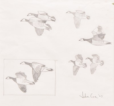 Lot 41 - John Cox (British contemporary) Barnacle Geese - Solway Firth, Three Concept Works