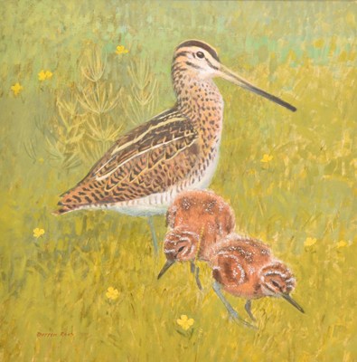 Lot 43 - Darren Rees (British, b. 1961) Snipe, with Chicks amongst the Grasses
