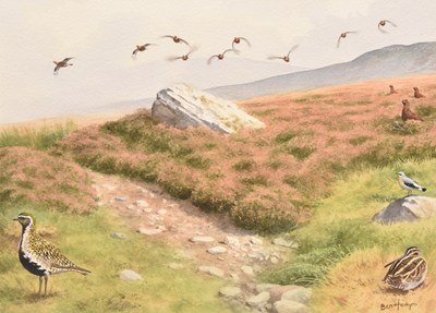 Lot 50 - Ben Hoskyns (b.1963) Red Grouse, On the Moor