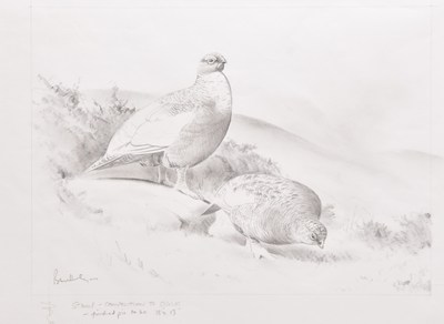 Lot 52 - Ben Hoskyns (British, b.1963) Red Grouse, Three Concept Drawings
