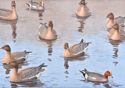 Lot 55 - Julian Novorol (b. 1949) Pink-Footed Geese at Flaxfett, a Gaggle on the Water