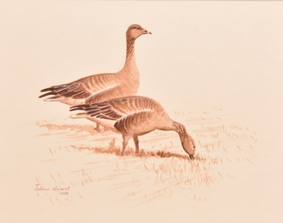 Lot 56 - Julian Novorol (b. 1949) Pink-Footed Geese at Flaxfett, Feeding in the Grass