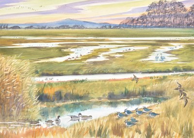 Lot 58 - Peter Partington (1941-2025) White-Fronts on the Severn, and other wildlife in the grasses
