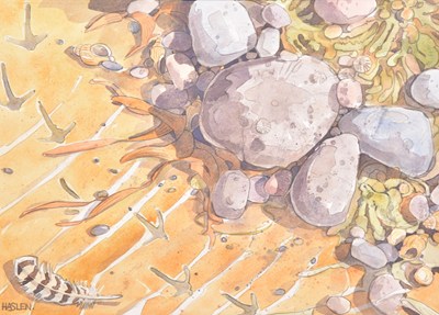 Lot 60 - Andrew Haslen (b.1953) Curlew on Lough Foyle, Footprint in Wet Sand