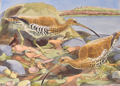 Lot 61 - Andrew Haslen (1953) Curlew on Lough Foyle, Searching for Seashells in the Rocks