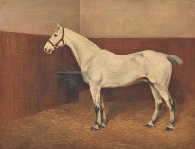 Lot 193 - Alfred Grenfell Haigh (1870-1963) Grey Stallion in a Loose Box