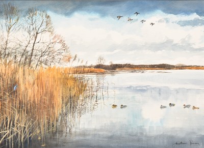 Lot 69 - Jonathan Pomroy (British, 21st century) Tufted Duck - Rockland Broads, Above and Below