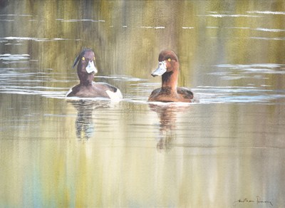 Lot 70 - Jonathan Pomroy (British, 21st century) Tufted Duck - Rockland Broads, a Couple Gliding on the Water