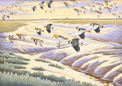 Lot 71 - John Davis (British 20th-21st century) Golden Plover on the Ribble