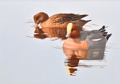 Lot 77 - Jonathan Latimer (British, 20th-21st centuries) Wigeon on the Dornoch Firth