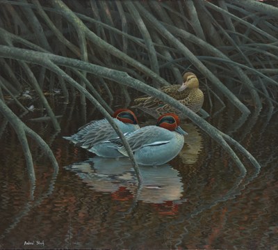 Lot 79 - Andrew Stock (British, b.1960) Teal on Chichester Harbour, Hiding Amongst the Roots