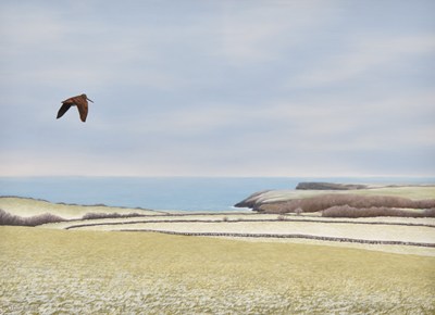 Lot 80 - Chris Lodge (20th-21st centuries) Woodcock on the Stackpole Estate, a Single Bird in Flight