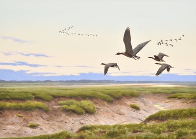 Lot 82 - Rodger McPhail (British, b.1953) Pink Footed Geese flying over Cockerham Marsh