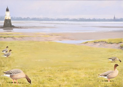 Lot 83 - Rodger McPhail (British, b.1953) Pink Footed Geese feeding in the Grass at Cockerham Marsh