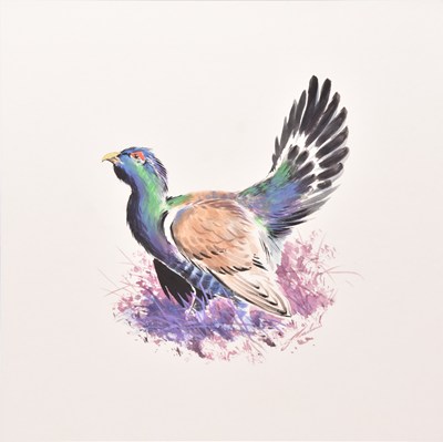 Lot 87 - Simon Trinder (b.1958) Capercaillie in the Cairngorms, Study of a Male