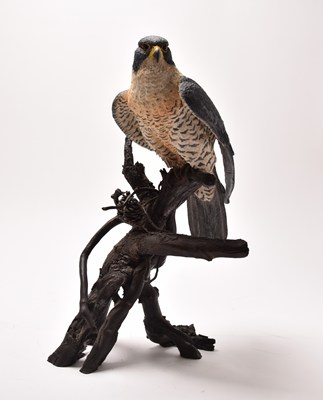 Lot 107 - A Bowbrook Studios Worcester limited edition study of a peregrine falcon