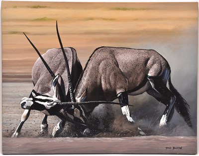 Lot 111 - David Bucklow (b.1969) Oryx Gazelles Fighting