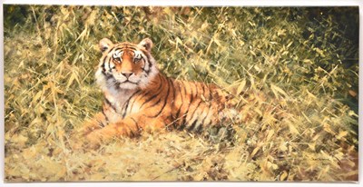 Lot 116 - David Shepherd (British, 1931-2017) The Ranthambore Tiger and other limited edition prints (12)