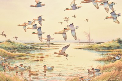 Lot 66 - Simon Trinder (British, b.1958) Teal on the Medway, Landing on the Water